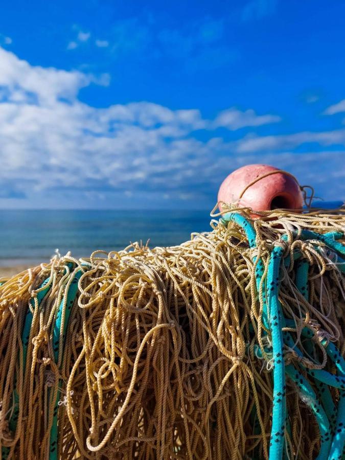 Appartamento La Coffa Agnone Cilento ภายนอก รูปภาพ