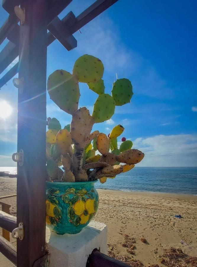 Appartamento La Coffa Agnone Cilento ภายนอก รูปภาพ