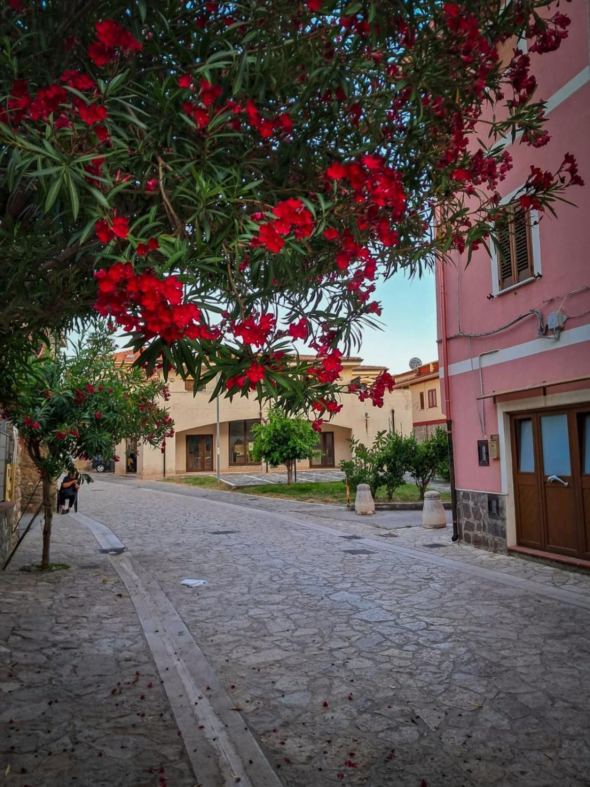 Appartamento La Coffa Agnone Cilento ภายนอก รูปภาพ